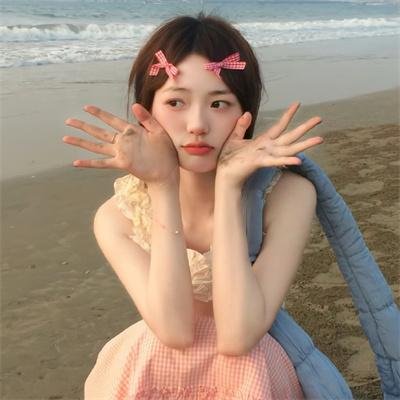 翼龙